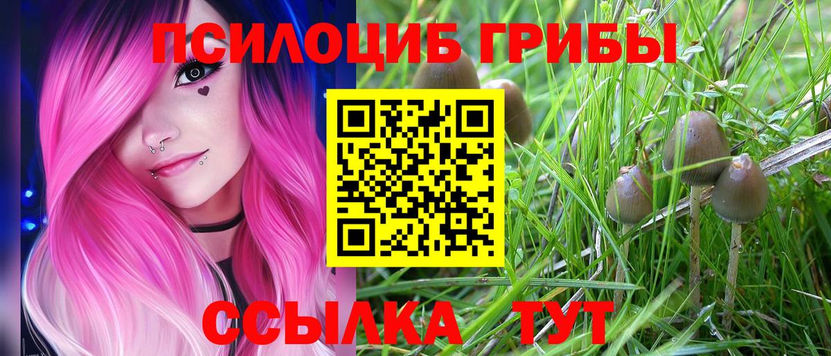 Псков  Псилоцибиновые грибы GOLDEN TEACHER  что такое   Галлюциногенные грибы Psilocybine cubensis  Вход с VPN 