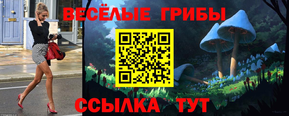 Псилоцибиновые грибы мухоморы Псков